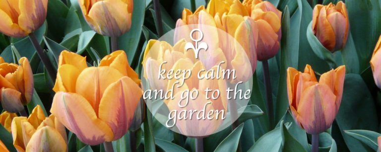 keep calm and go to the garden